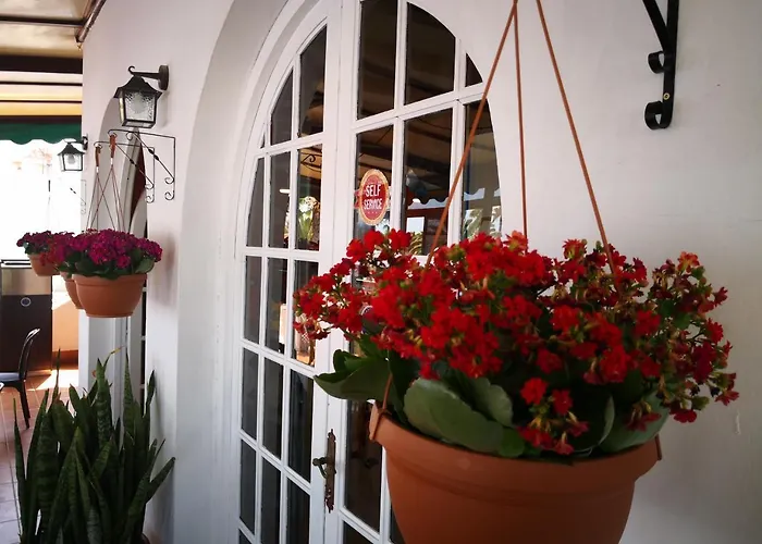 Castillo Club Hotel 2*