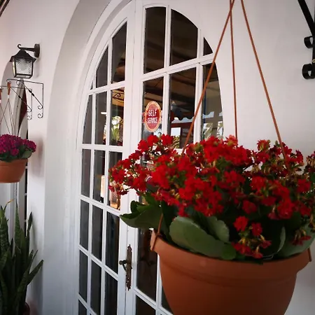 Castillo Club Hotel 2*